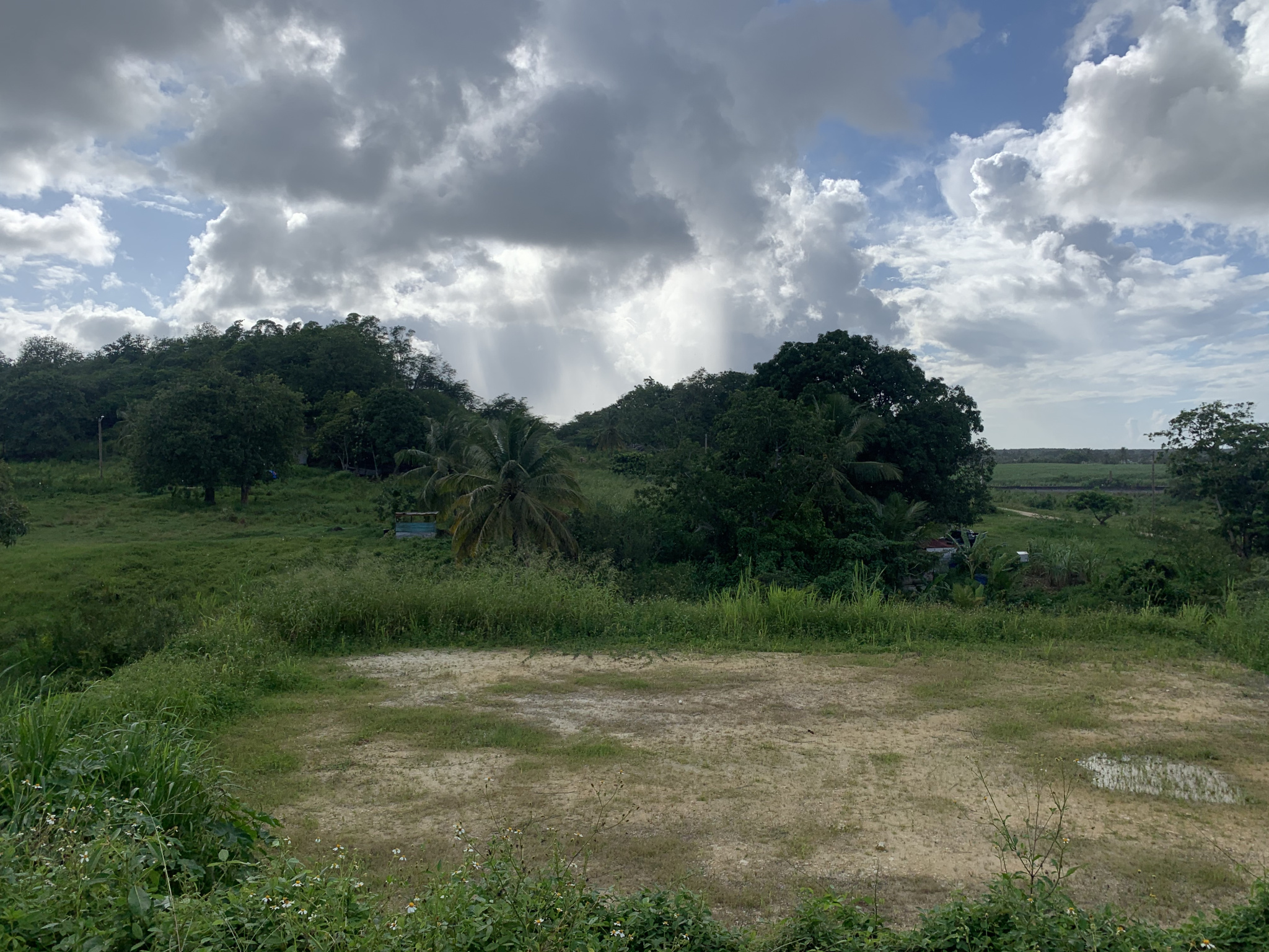 vente Les Abymes A SAISIR TERRAIN AU ABYMES Immovital