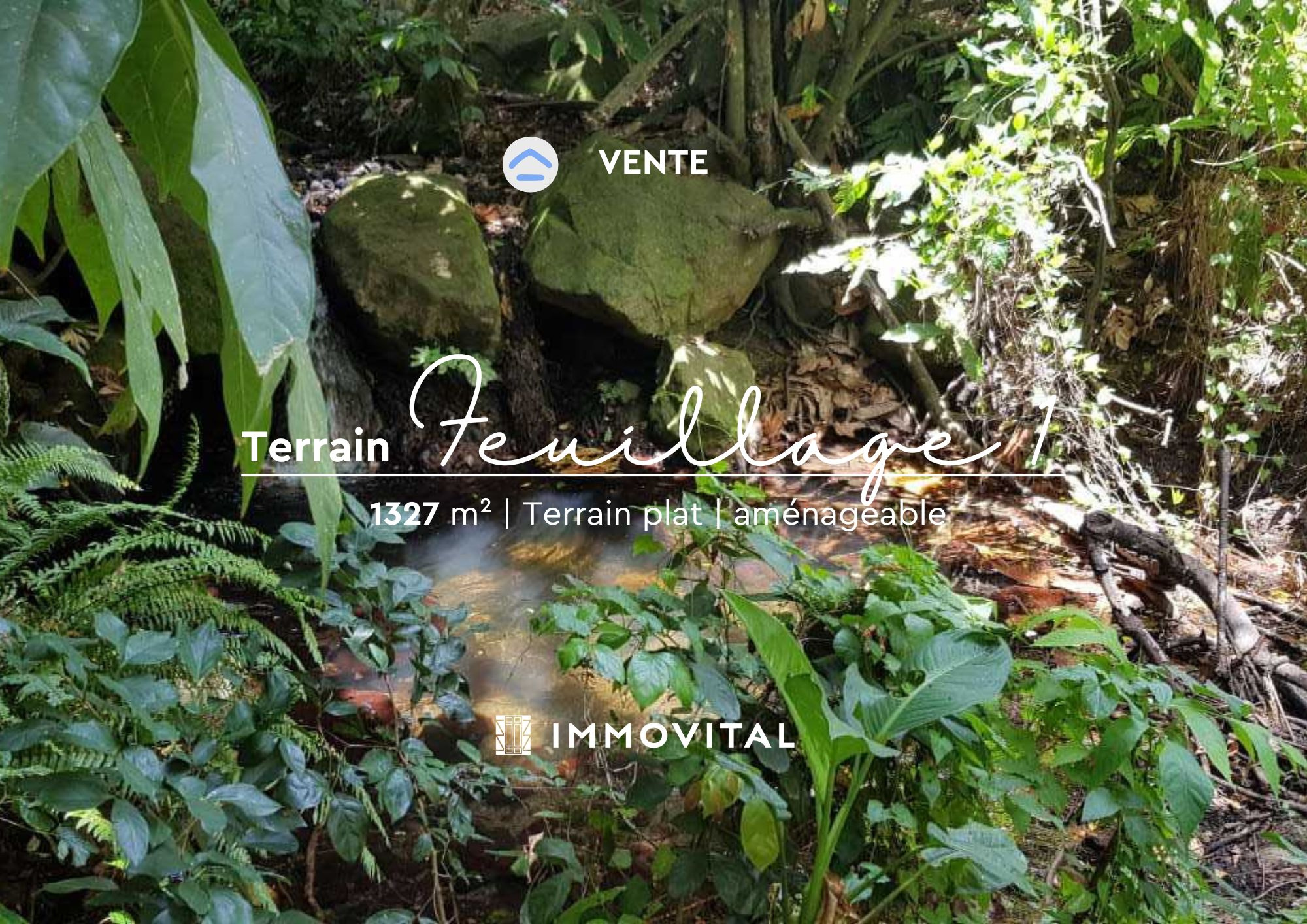 Terrain - Gourbeyre